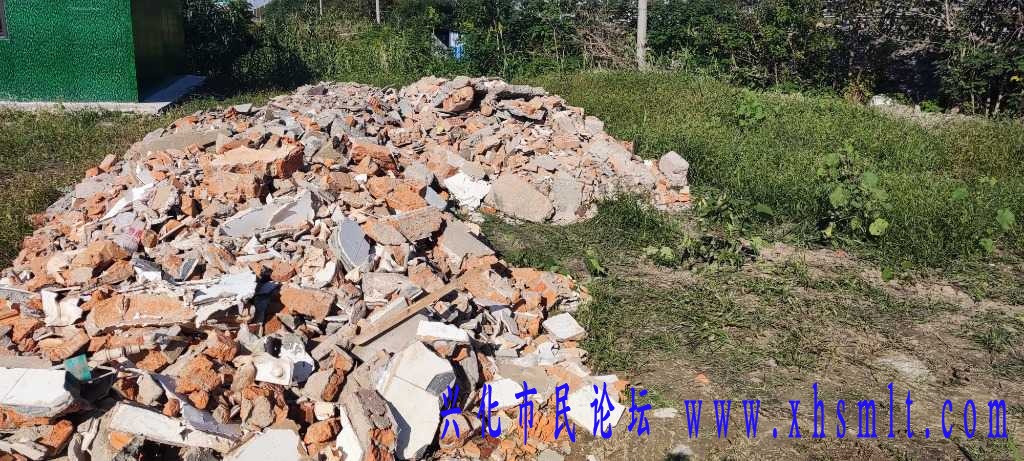 MVIMG_20231021_085348.jpg