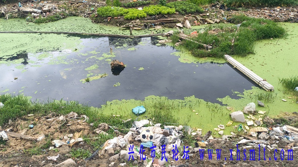 mmexport1713621413868.jpg