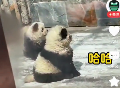 微信图片_20240504174946.png