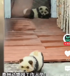微信图片_20240504175105.png