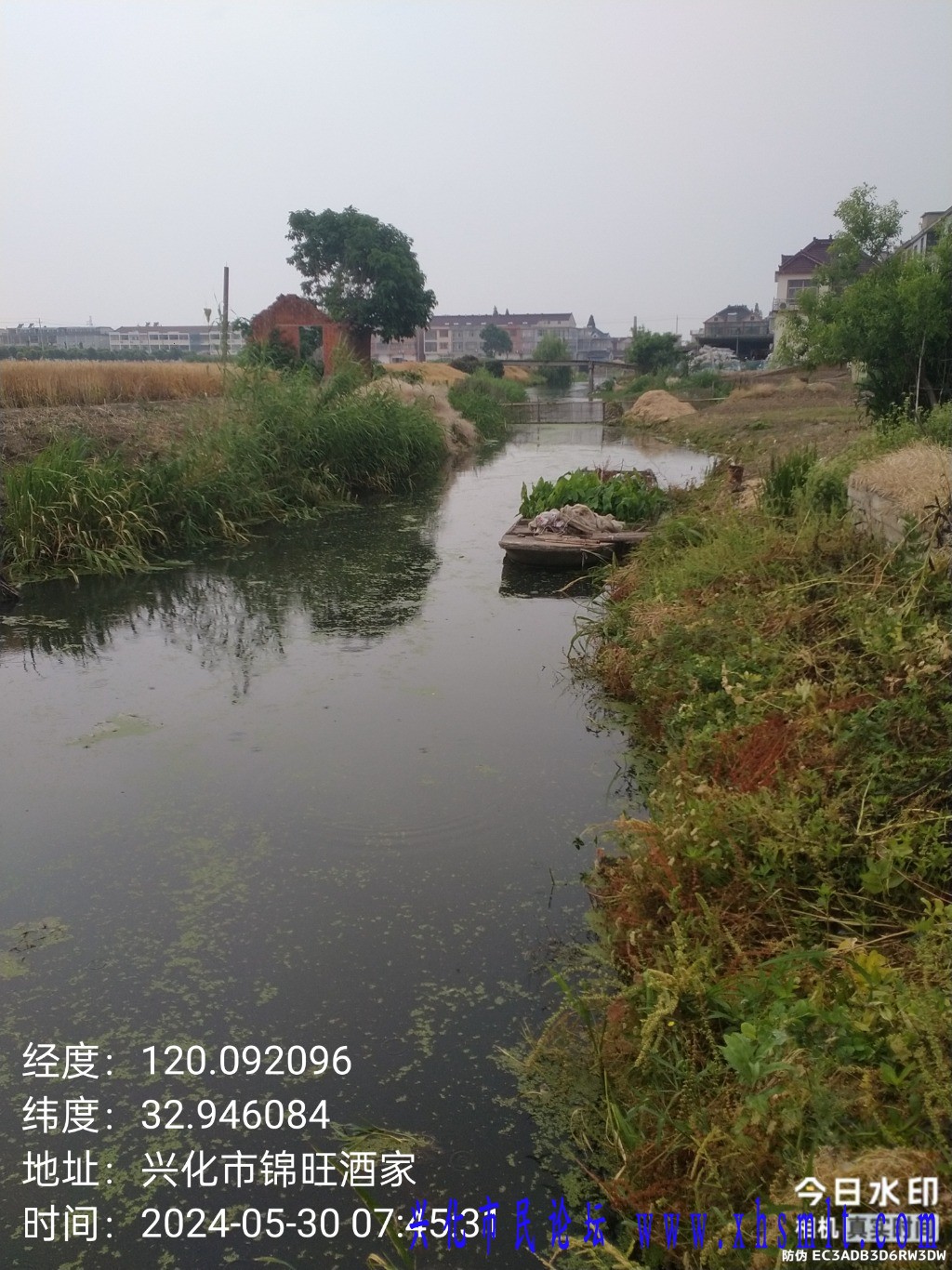 mmexport1717056714771.jpg