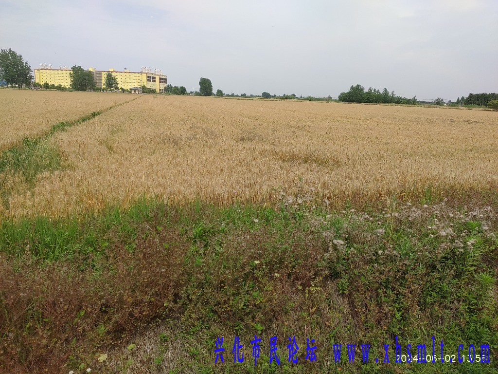 IMG_20240602_135846.jpg