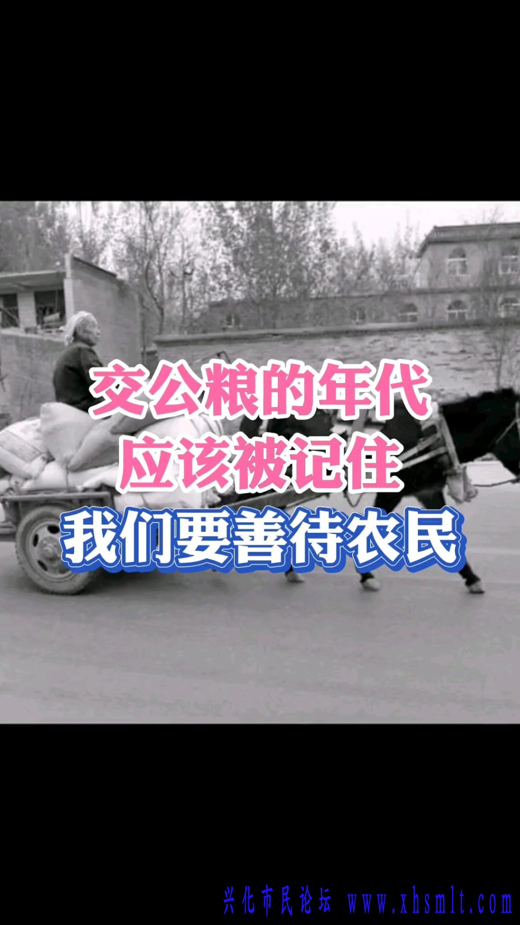 mmexport1718261962578.jpg