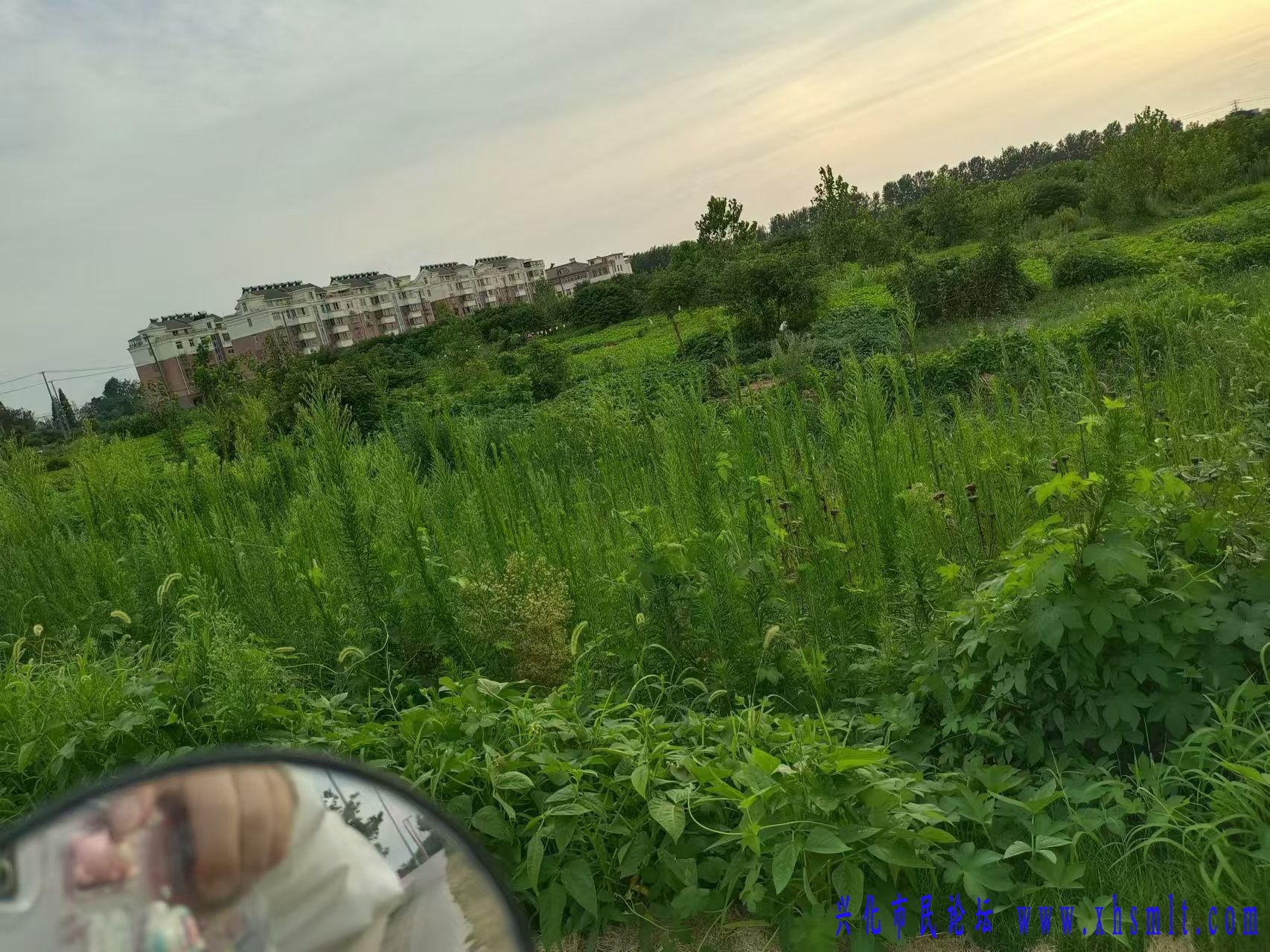 微信图片_20240814124419.jpg