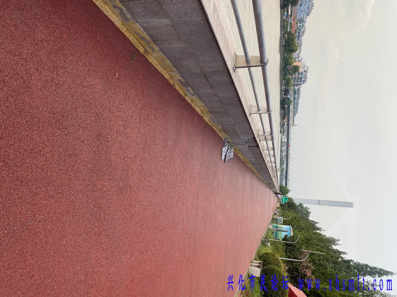 IMG_4462.jpeg