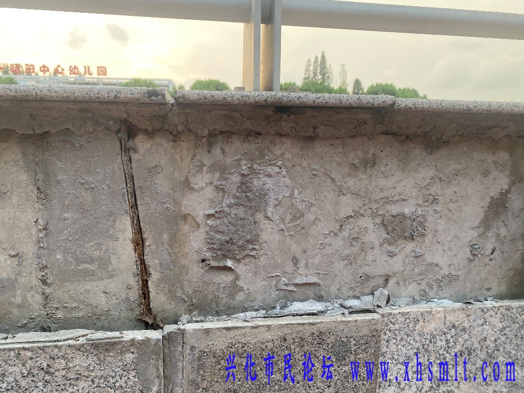 IMG_4461.jpeg