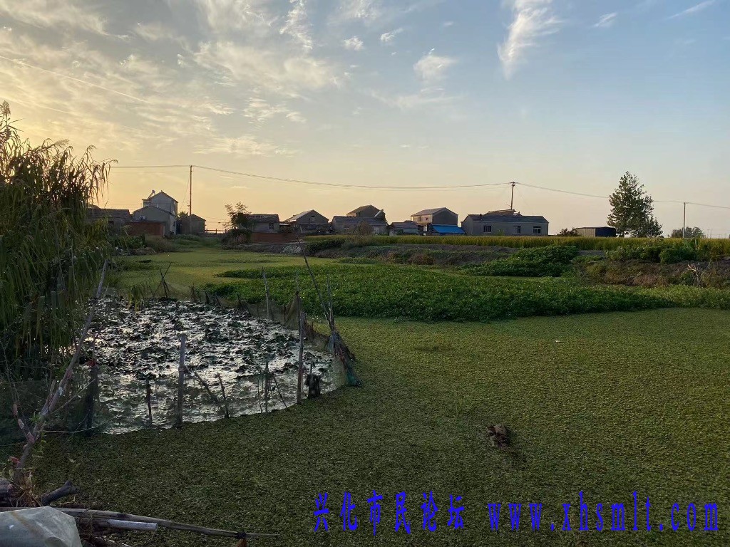 d42ac6b4ab8171c8fc0a924f857acd09.jpeg