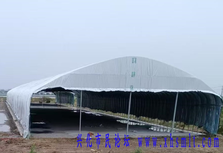 3abc34fb0cb97f1ad00073adcfeb086.jpg