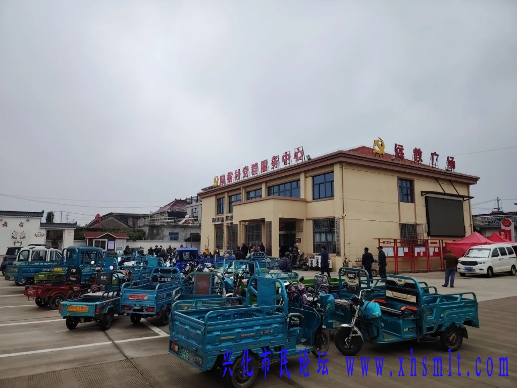 mmexport1730288043465.jpg