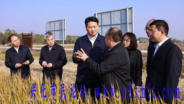 b3fc36452c5248cc983e57d24fe7c2a1.jpeg