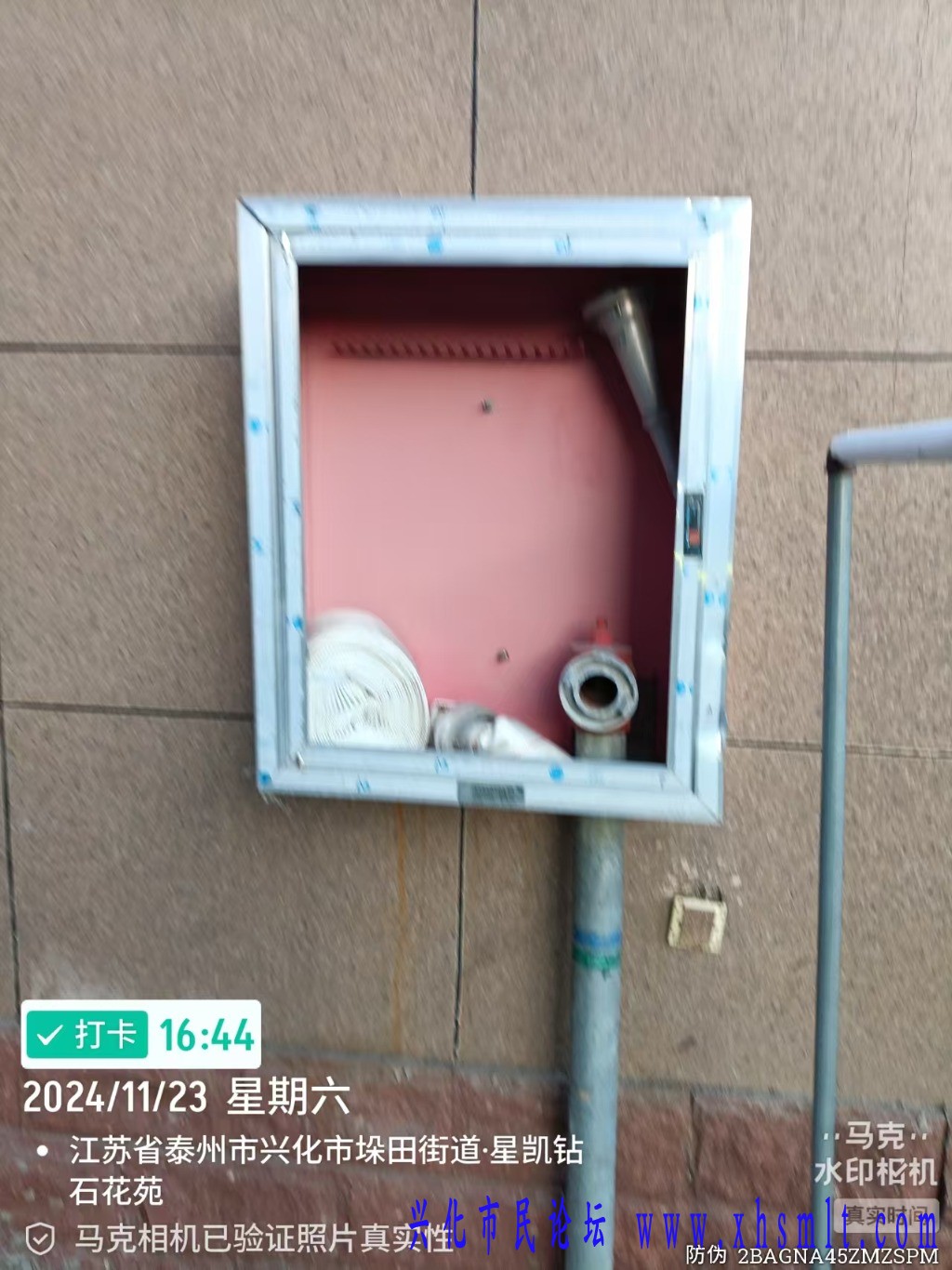 mmexport1734269513499.jpg