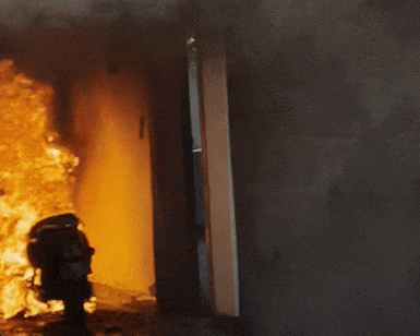 3.gif