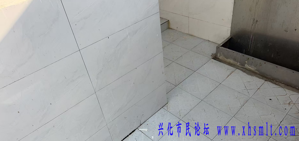 整改图片1