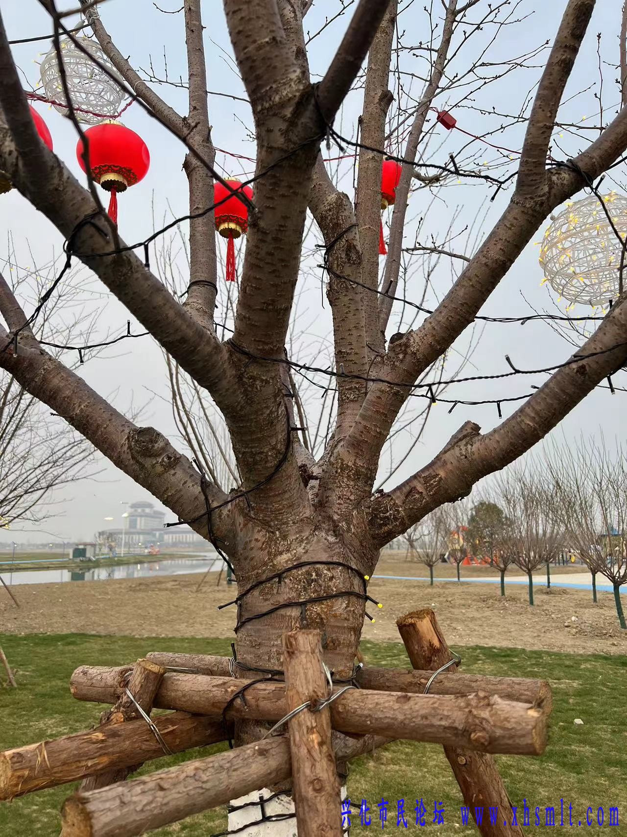 微信图片_20250311174154.jpg
