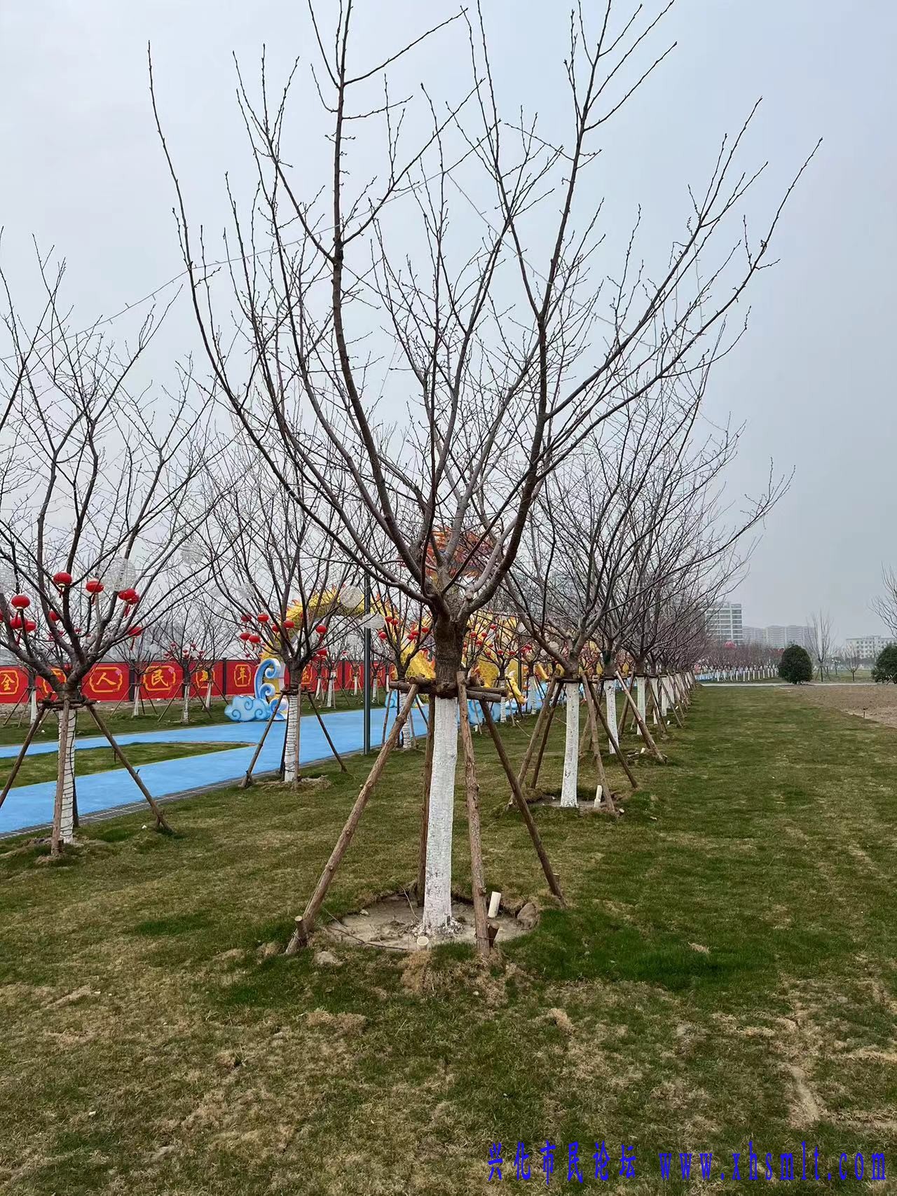 微信图片_20250311174150.jpg