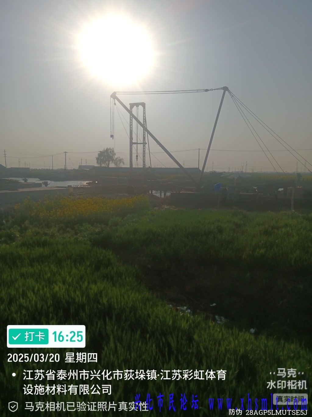 Marki_20250320_162529820.jpg