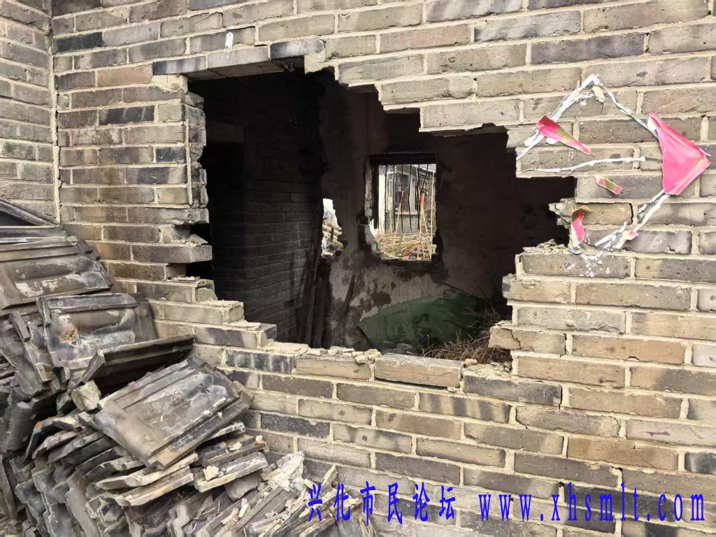 1000097624.jpg