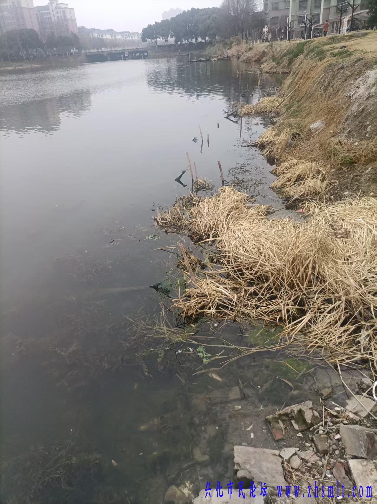 竹竿连接岸边地笼