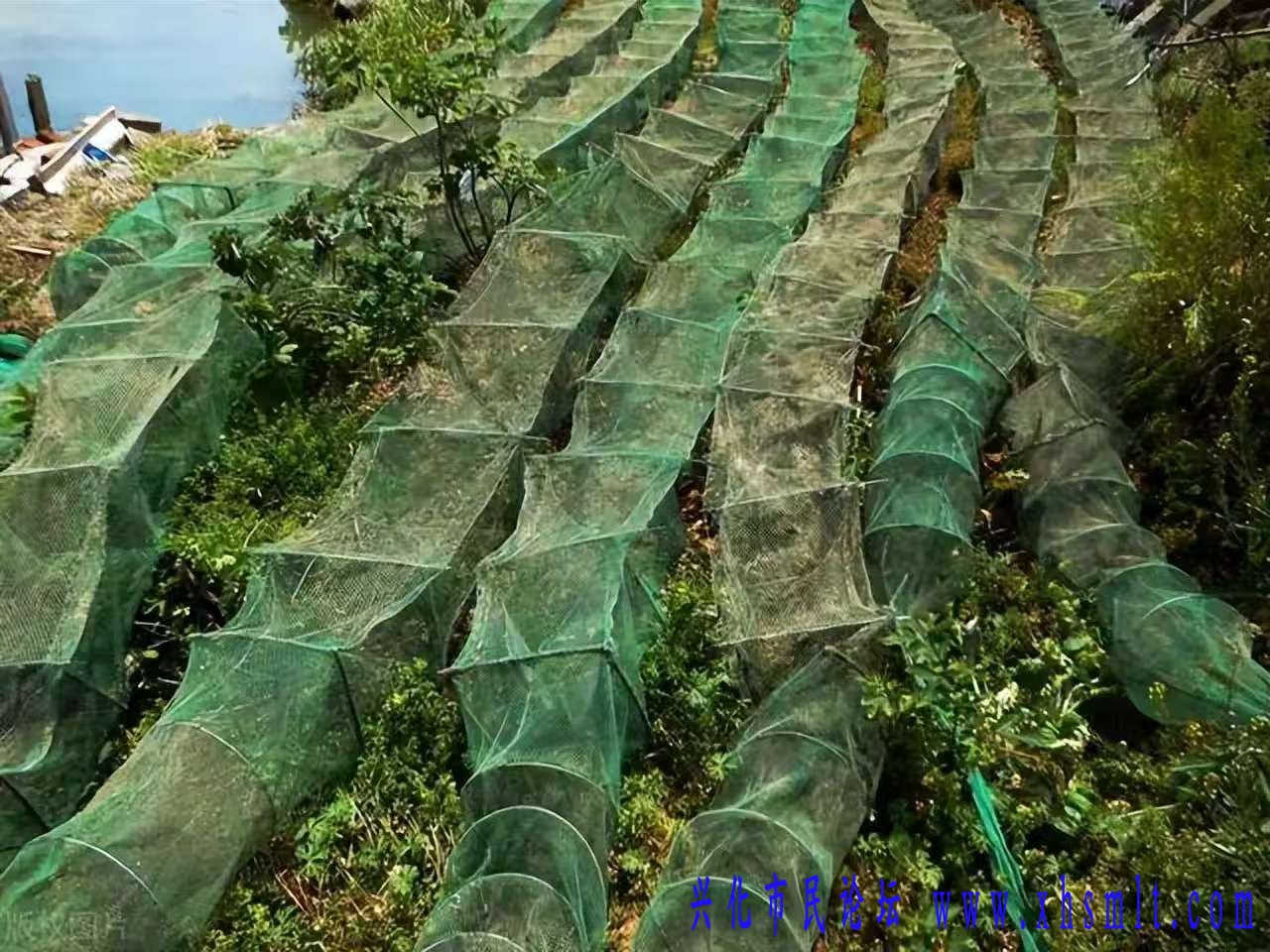 微信图片_20250622100245.jpg