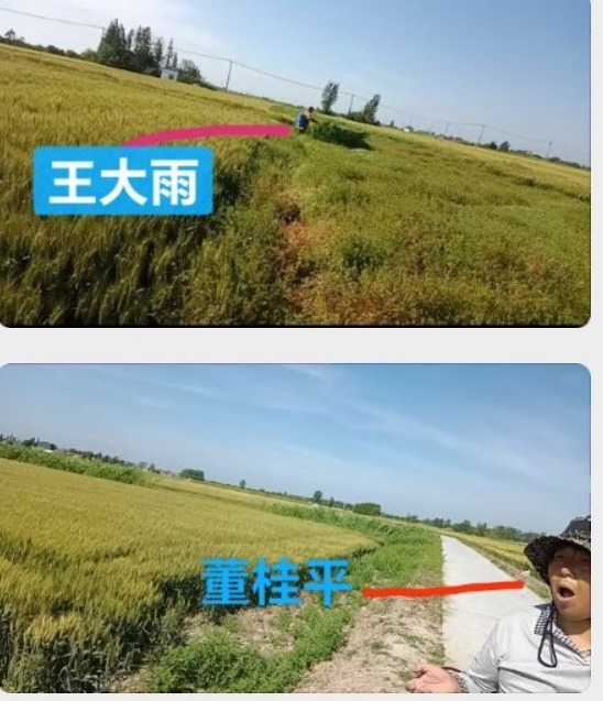 Screenshot_20260604_175551_com_tencent_mm_ChattingUI.jpg